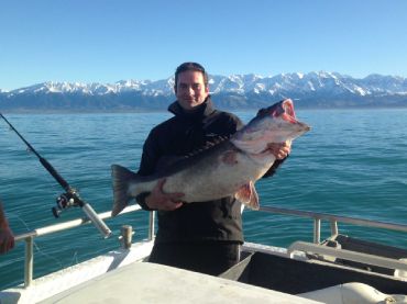 Kaikoura Fishing Tours